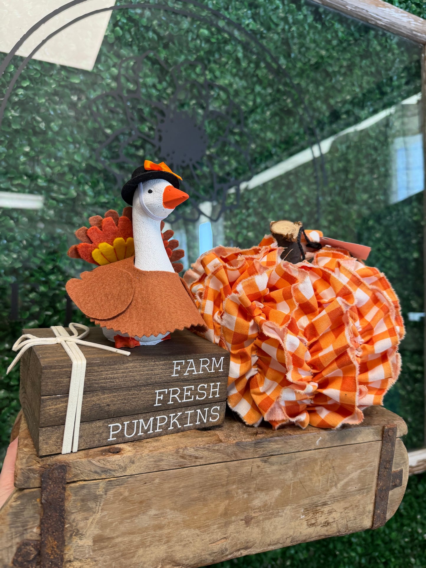 Turkey Outfit for Mini Goose